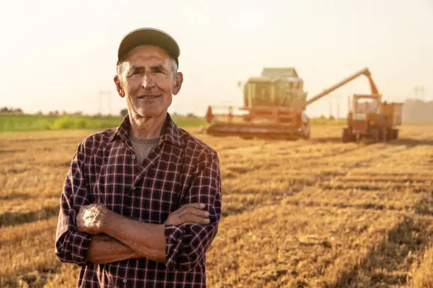 Photo of Farmer controlled harvest in his field stock photo