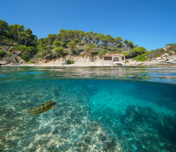 istock Spain Mediterranean coast hut and fish underwater 1161957424
