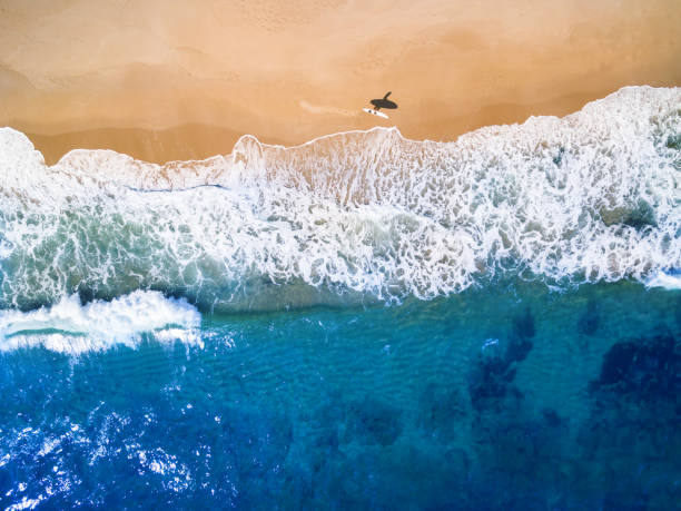 바다로 가는 서퍼의 공중 보기 - coastline beach australia sea 뉴스 사진 이미지