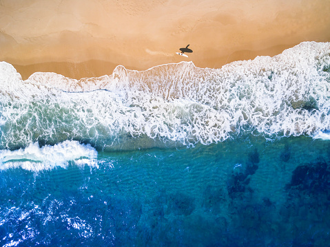 Aerial view of surfer going into the sea