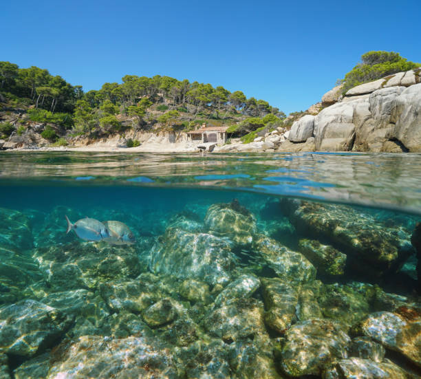 istock Spain cove with a hut and rocks underwater sea 1161957739