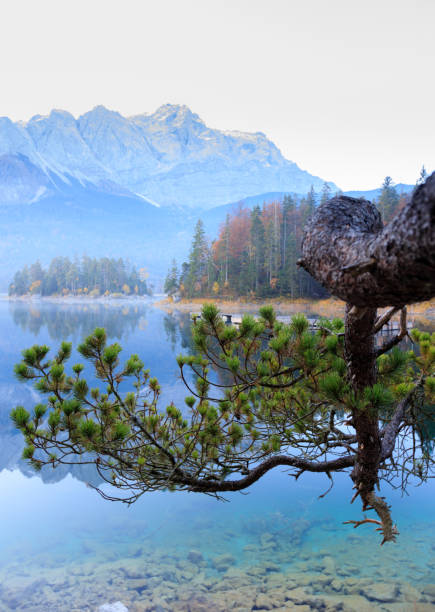 istock Reflections of the sunrise at the Eibsee 1161958461