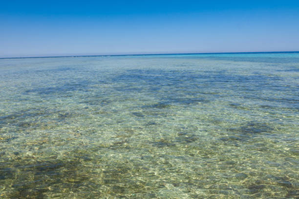 istock Beautiful bay at the Red Sea 1161961731