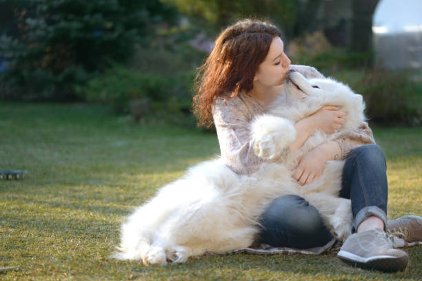 istock Woman and Samoyed dog ( summer) 1161965616