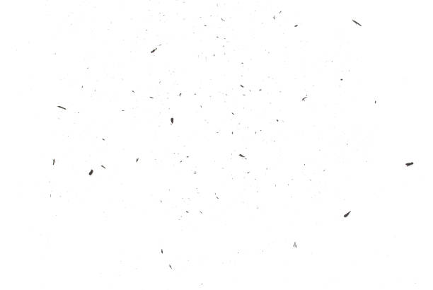 Eraser Scrap On White Background Stock Photo - Download Image Now ...