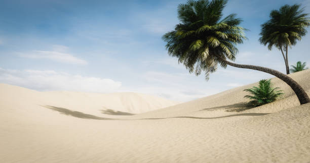 Idyllic Desert Landscape Digitally generated idyllic desert landscape with palm trees.

The scene was rendered with photorealistic shaders and lighting in Autodesk® 3ds Max 2020 with V-Ray Next with some post-production added. desert oasis stock pictures, royalty-free photos & images