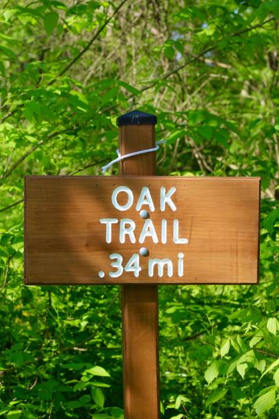 istock Old Wood Trail Distance Sign 1161969623
