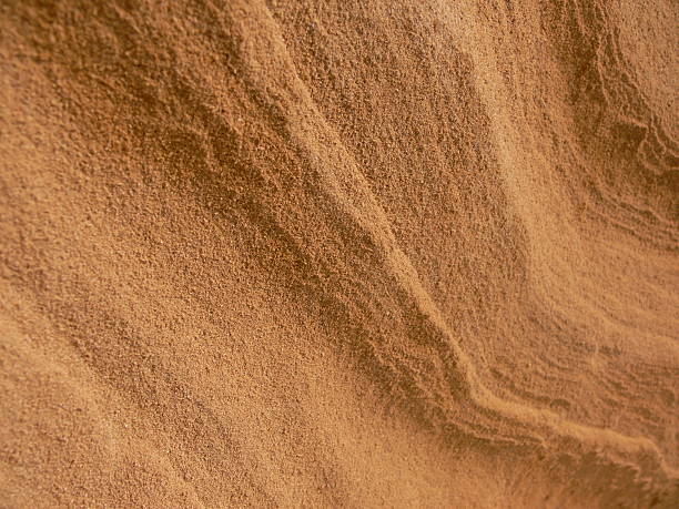 istock Desert Sahara, Africa 116197065
