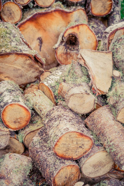 istock Hardwood logs for a cosy winter's night 1161972690