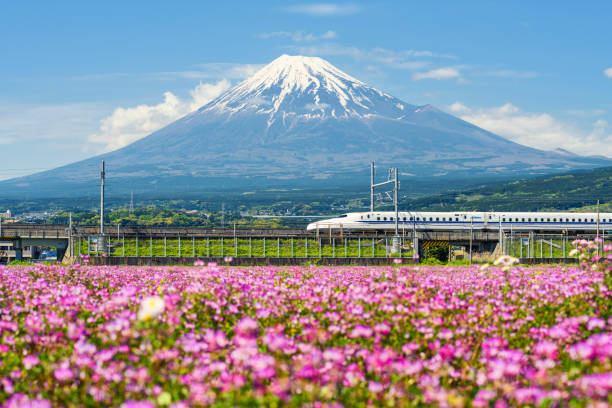 Shinkansen bullet train at Mountain Fuji Shizuoka, Japan - May 05, 2017:  JR Shinkansen train pass though Mountain Fuji and Shibazakura at spring. N700 Bullet train transit between Tokyo and Osaka operated by Japan Railways company. bullet train mount fuji stock pictures, royalty-free photos & images