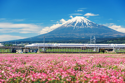 Shizuoka, Japan - May 05, 2017:  JR Shinkansen train thundering to Mountain Fuji and Shibazakura at spring. N700 Bullet train transit between Tokyo and Osaka operated by Japan Railways company.