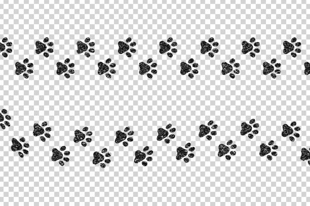 ilustraciones, imágenes clip art, dibujos animados e iconos de stock de impresiones de patas aisladas de dibujos animados vectoriales para la decoración de plantillas en el fondo transparente. - cat paw print