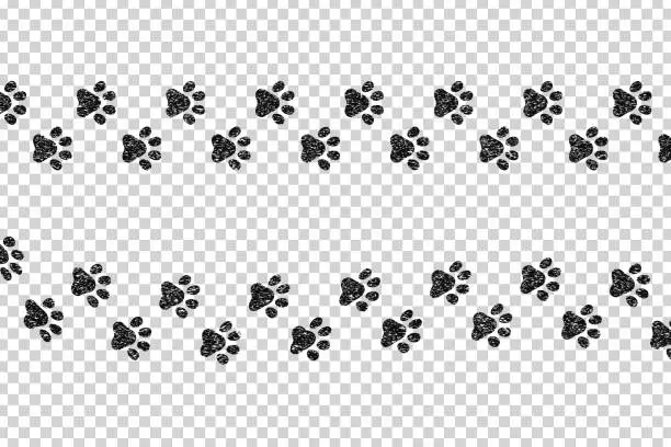 Vector illustration of Vector cartoon isolated paw prints for template decoration on the transparent background.