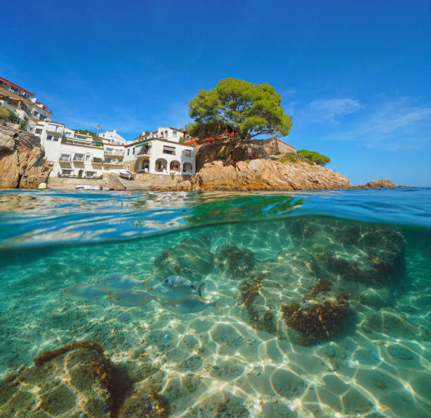 istock Spain picturesque village and fish underwater 1161977568
