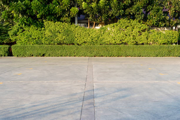 istock Space and concrete floor in public park 1161978290