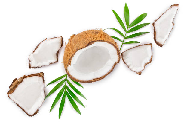 istock coconut with leaves isolated on white background with copy space for your text. Top view. Flat lay 1161979692