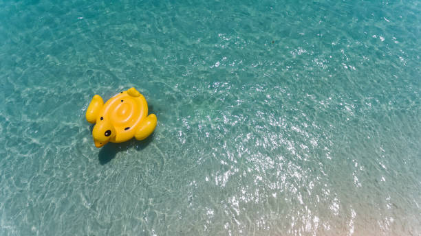 istock Top view from sky of duck swiming lifebuoy. 1161982509