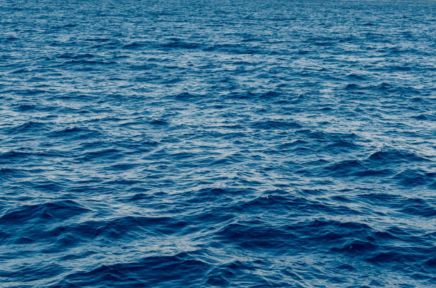 istock Waves on the surface of the blue sea, background texture 1161985343