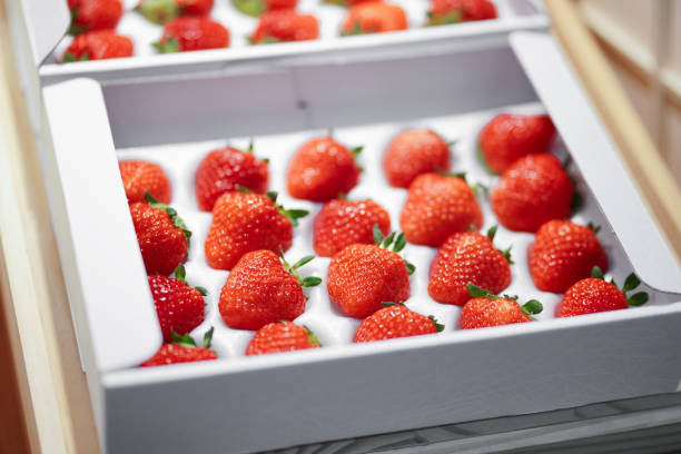 Japanese strawberries. A box of beautiful Japanese strawberries at a Japanese super market. stock photo