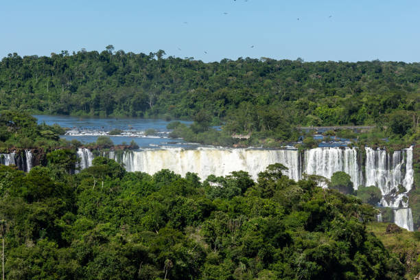 vue imprenable sur les chutes d'iguazu, l'une des sept nouvelles merveilles du monde, à la frontière avec le brésil et l'argentine. - new seven wonders of the world photos et images de collection