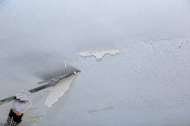 istock Take off in the popcorn ceiling home wall texture removal 1161986658