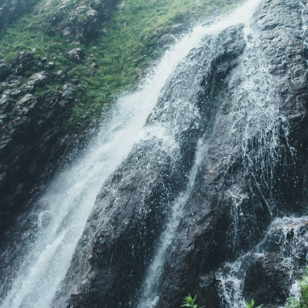 istock Waterfall in the forest, natural landscape picturesque scenery 1161989261