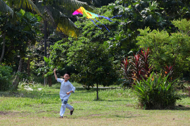 A Malay Muslim boy wearing a traditional Malay costume, running in a field and playing with a kite.