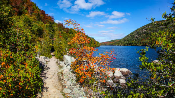 Hiking among the fall colors on Long Pond Acadia National Park Hiking path along Long Pond with fall colors in Acadia National Park the poconos stock pictures, royalty-free photos & images