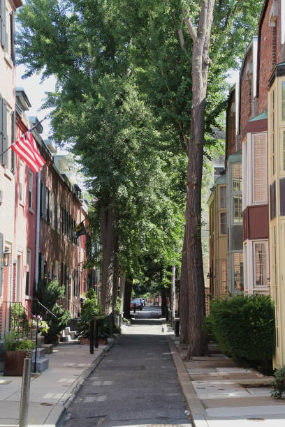 istock Street in America 1161993304