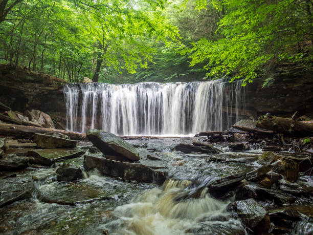 istock Waterfall in Ricketts Glen State Park 1161994735