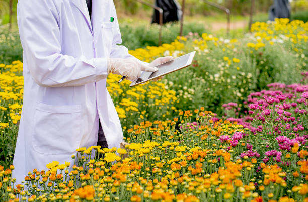 istock Scientist with white lab gown use tablet to analysis and record the data of multi-color flowers experiment in the garden during day time 1161997493