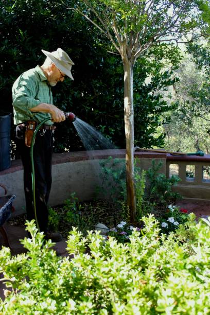 istock Senior man in the garden 1161998748