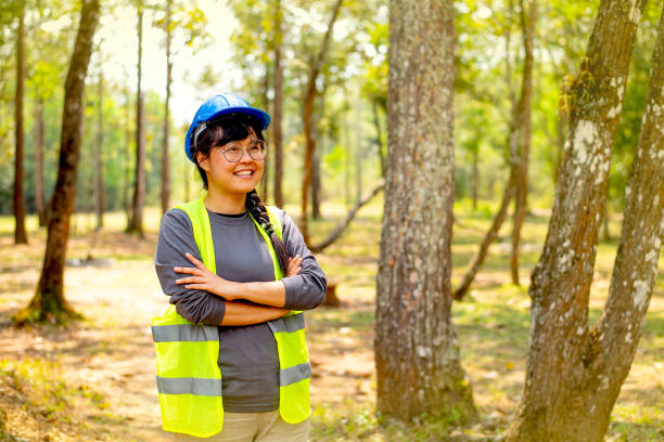beautiful and pretty engineer woman show action of confidence and smile with background of nature and forest in day light - female construction telephone building contractor imagens e fotografias de stock