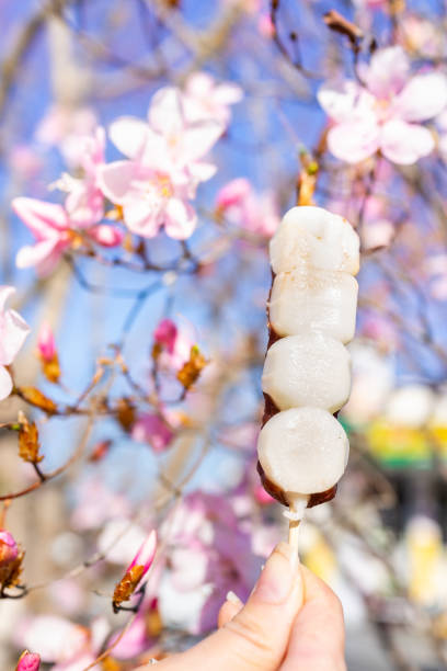 日光の春春のピンクの桜や梅の花びらのクローズアップ、女性手で小豆だんご和のデザート - 11244 ストックフォトと画像