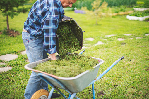 Man Working In Garden