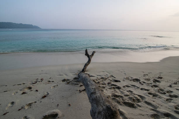 istock Radhanagar Beach at Havelock Island 1162011796