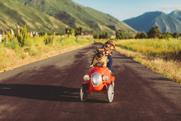 istock Boy and Dog in Toy Racing Car 1162019300