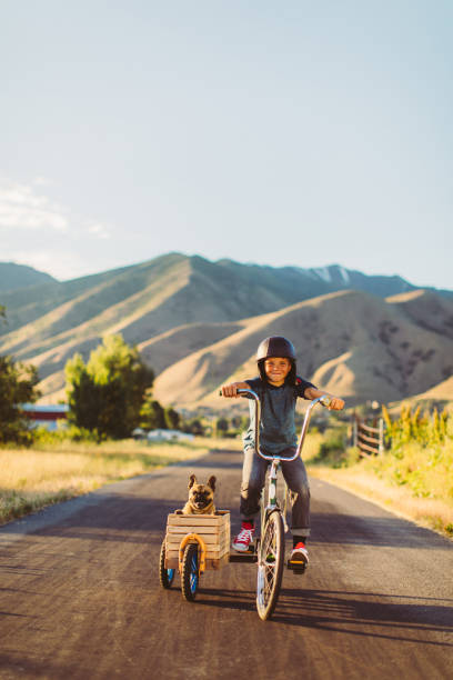 istock Boy Riding Bicycle with Dog in Side Car 1162019326