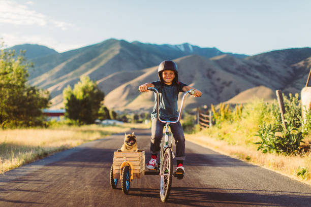 istock Boy Riding Bicycle with Dog in Side Car 1162019417