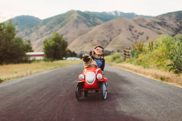 istock Boy and Dog in Toy Racing Car 1162019442