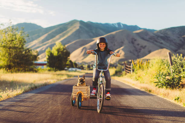 Boy Riding Bicycle with Dog in Side Car A young boy with vintage clothing and motorcycle helmet rides his stingray bicycle with his pet and best friend French Bulldog riding along in a side car in Utah, USA. Sometimes a road trip journey with your best friend and some fresh air in your face is the best medicine for the soul. sidecar photos stock pictures, royalty-free photos & images