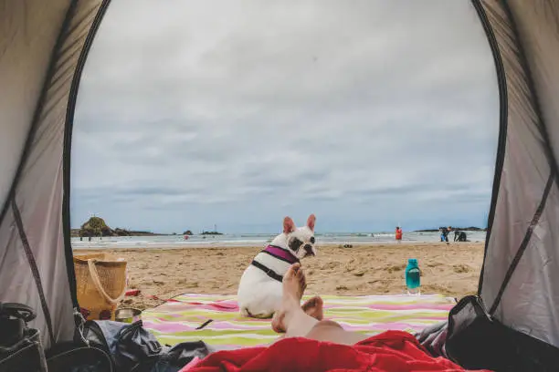 Camping with dog at Summerleaze Beach in Bude, Cornwall, England. Personal perspective.
