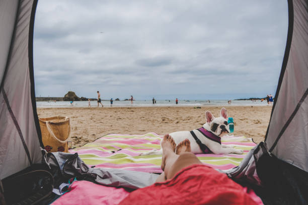 pov de pies de mujer desde el interior de una tienda de campaña en summerleaze beach en bude, cornualles, inglaterra - one person beautiful barefoot beach fotografías e imágenes de stock