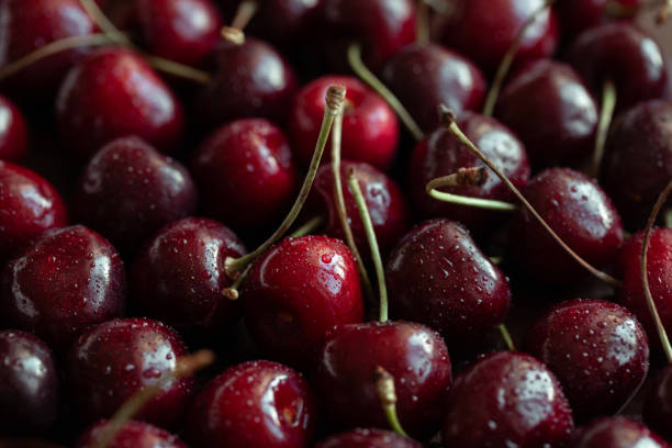 rote reife frische kirschen in tropfen wasser aus nächster nähe. kirsche hintergrund. beerenmuster und textur. essen hintergrund. - black cherries stock-fotos und bilder