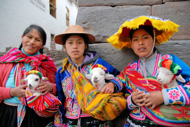 tres mujeres peruanas que llevan corderos bebé (cusco, perú) - trajes tipicos del peru fotografías e imágenes de stock