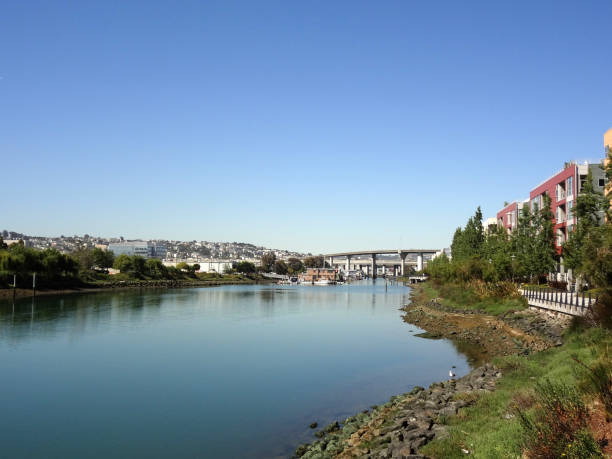 istock Shoreline of Mission Creek 1162028715