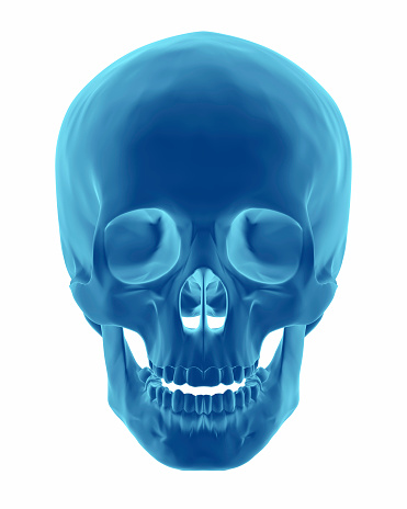 Skull face isolated in white background - 3D render