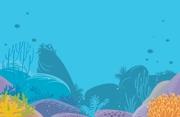 산호 배경 - sea life stock illustrations