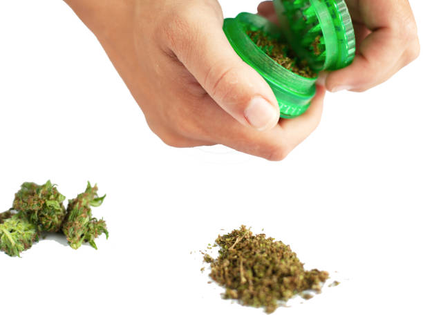 istock Grinding cannabis buds by grinder. grinding smoking weed on a white background isolate 1162035855