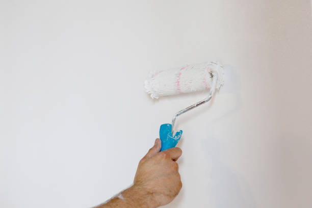 istock Woman hand holding a paint roller isolated on a white background 1162035899
